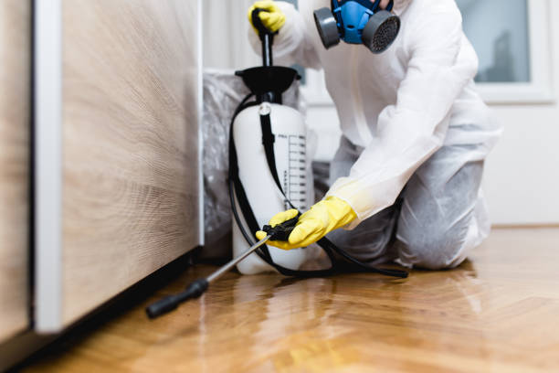 Best Emergency Pest Control  in Bangor, WI