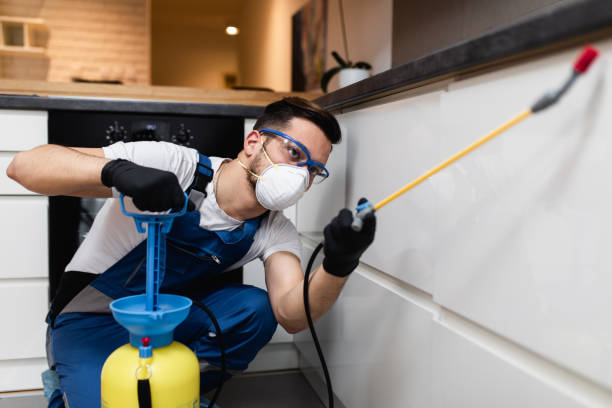 Best Residential Pest Control  in Bangor, WI