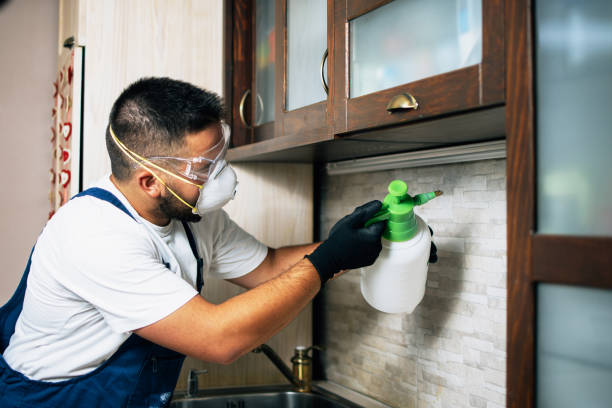 Best Commercial Pest Control Services  in Bangor, WI
