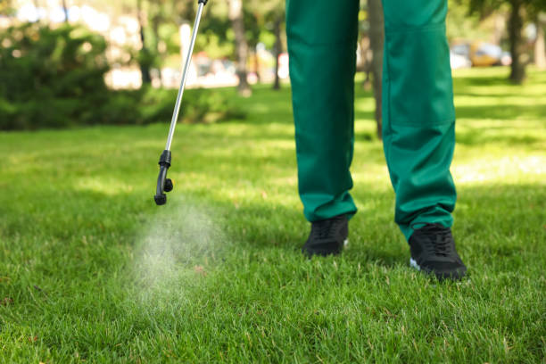 Best Exterminator Services  in Bangor, WI