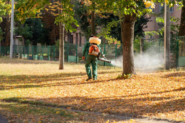 Best Best Pest Control Companies  in Bangor, WI