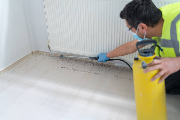 Best Local Pest Control Services  in Bangor, WI